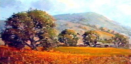 Image: Landscape Oil Series - Autumn Vineyards (digital version) featuring E. John Robinson